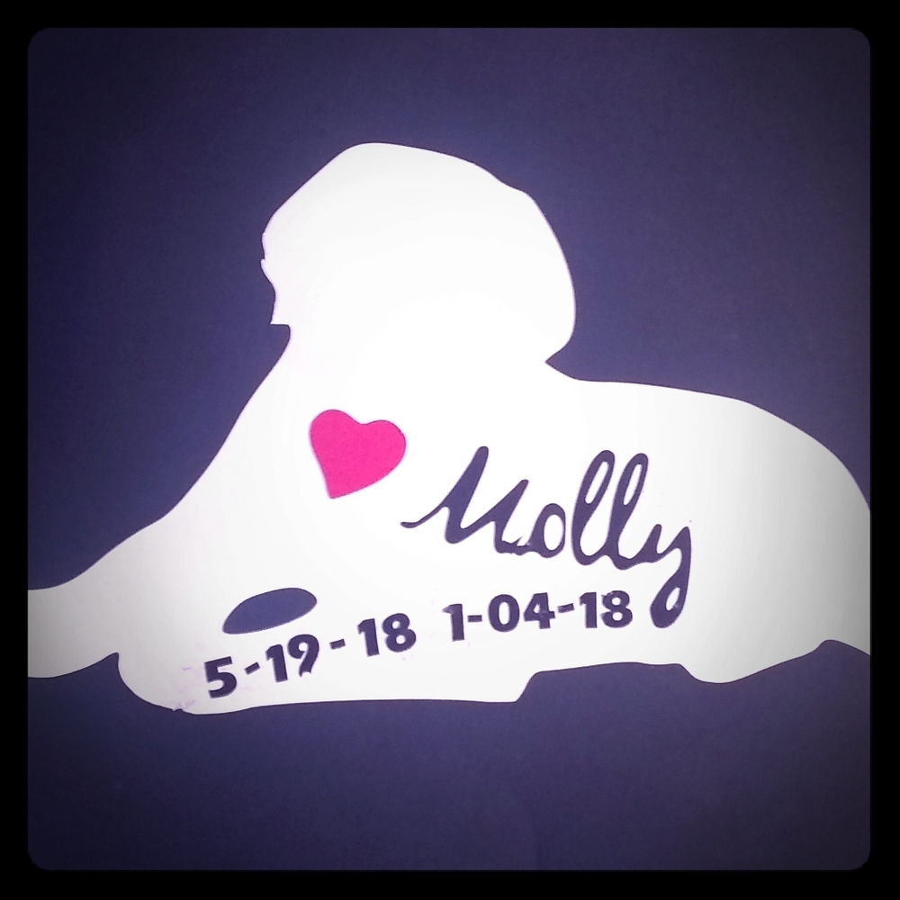 Custom pet  vinyl decals